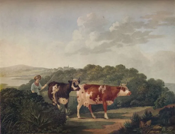 Framed Print : English Landscape, with Shorthorned Cattle, late 18th-early 19th century, (1930) Framed Print : English Landscape, with Shorthorned Cattle, late 18th-early 19th century, (1930)
