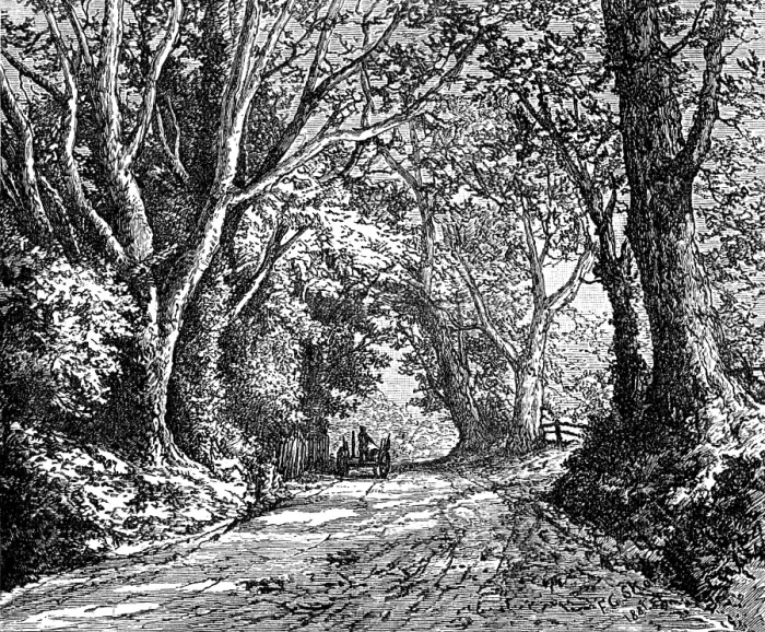 Framed Print : An English lane: from 'Autumnal Leaves' (Sketches in the New Forest), 1881. Creator: James Davis Cooper Framed Print : An English lane: from 'Autumnal Leaves' (Sketches in the New Forest), 1881. Creator: James Davis Cooper