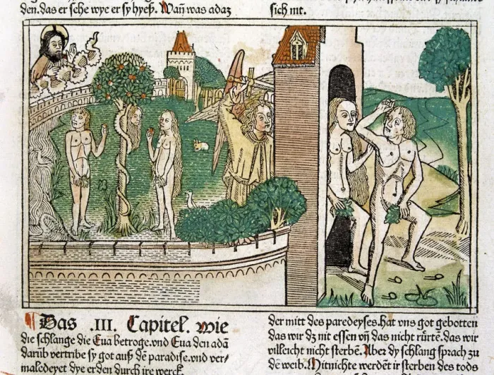 Framed Print : Engraving showing Adam and Eve in paradise, scene in the Bible of Nuremberg, German edition 1483 Framed Print : Engraving showing Adam and Eve in paradise, scene in the Bible of Nuremberg, German edition 1483