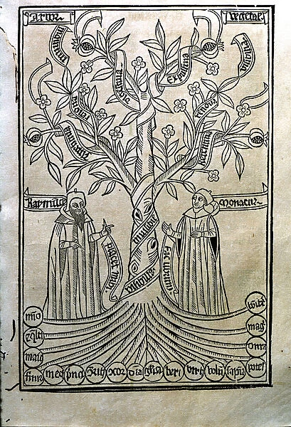 Engraving of a tree in the work Arbor Scientiae (Science Tree) copy printed in