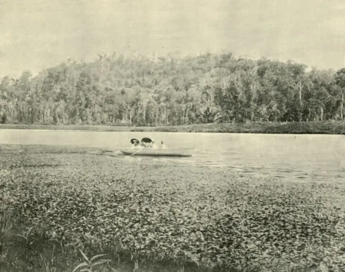 Framed Print : On the Enoggera Lake, 1901. Creator: Unknown Framed Print : On the Enoggera Lake, 1901. Creator: Unknown