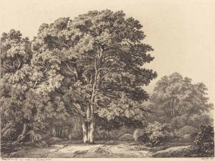 Framed Print : Entrance to a Forest, 1840. Creator: Eugene Blery Framed Print : Entrance to a Forest, 1840. Creator: Eugene Blery