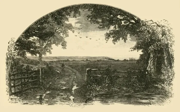 Framed Print : Entrance to Sedgemoor from Chedzoy, 1898. Creator: Unknown Framed Print : Entrance to Sedgemoor from Chedzoy, 1898. Creator: Unknown