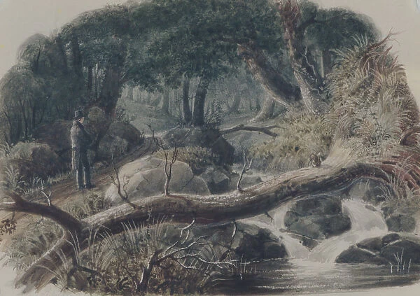 The Entrance to a Wood, 1836. Creator: Robert Walter Weir