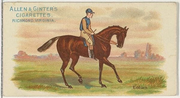 Eolian, from The Worlds Racers series (N32) for Allen & Ginter Cigarettes, 1888