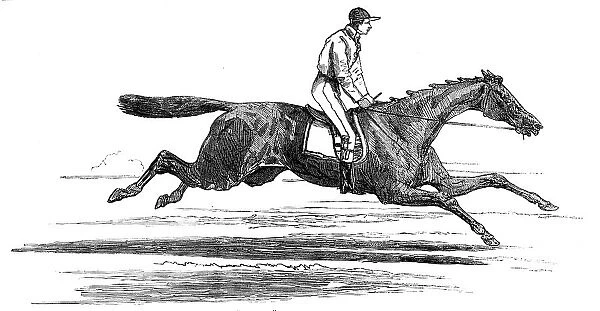 Epsom Races - 'Ellington', Winner of the Derby, 1856. Creator: Unknown. Epsom Races - 'Ellington', Winner of the Derby, 1856. Creator: Unknown