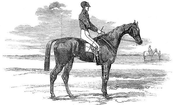 Epsom Races - 'Mincepie', Winner of the Oaks, 1856. Creator: Unknown. Epsom Races - 'Mincepie', Winner of the Oaks, 1856. Creator: Unknown