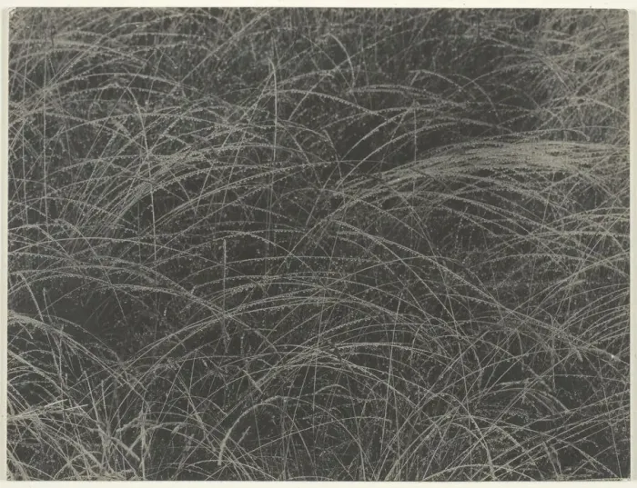 Framed Print : Equivalent, 1927. Creator: Alfred Stieglitz Framed Print : Equivalent, 1927. Creator: Alfred Stieglitz