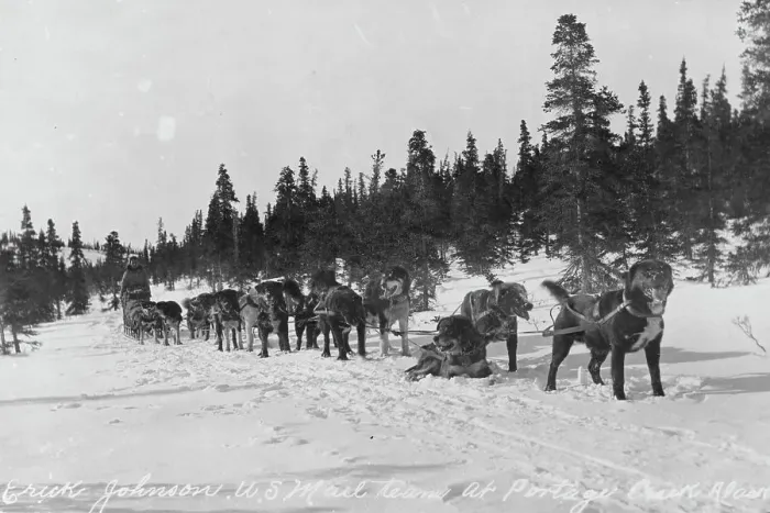 Framed Print : Erick Johnson with U.S. mail team, between c1900 and 1927. Creator: Unknown Framed Print : Erick Johnson with U.S. mail team, between c1900 and 1927. Creator: Unknown