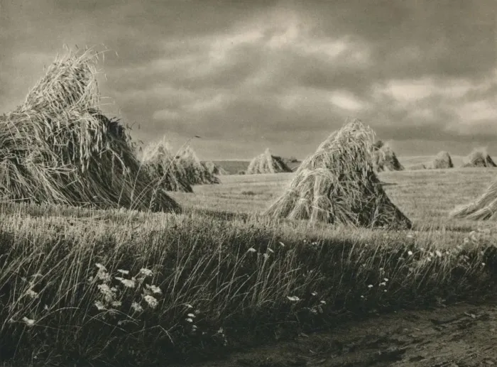 Framed Print : Ernte in Mausren - Harvest in Masouria, 1931. Artist: Kurt Hielscher Framed Print : Ernte in Mausren - Harvest in Masouria, 1931. Artist: Kurt Hielscher