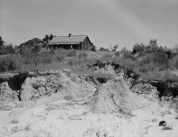 Eroded cotton farm near Jackson, Mississippi, 1937. Creator: Dorothea Lange