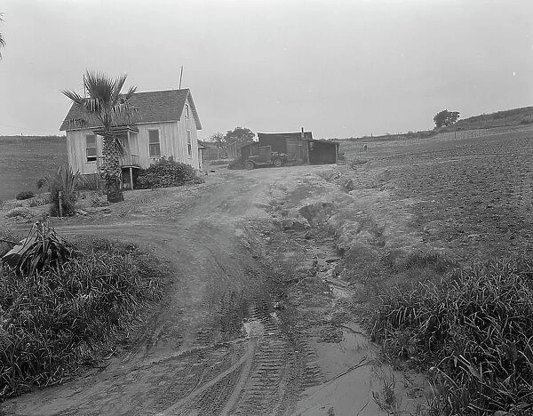 Eroded field, San Luis Obispo County, California, 1936. Creator: Dorothea Lange