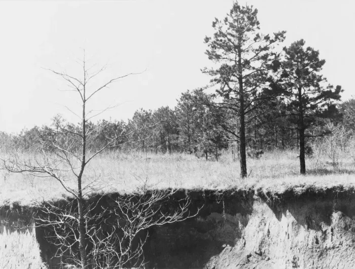 Framed Print : Erosion near Oxford, Mississippi, 1936. Creator: Walker Evans Framed Print : Erosion near Oxford, Mississippi, 1936. Creator: Walker Evans