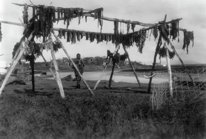 Framed Print : Eskimos in Alaska: Drying whale meat, Hooper Bay, c1929. Creator: Edward Sheriff Curtis Framed Print : Eskimos in Alaska: Drying whale meat, Hooper Bay, c1929. Creator: Edward Sheriff Curtis