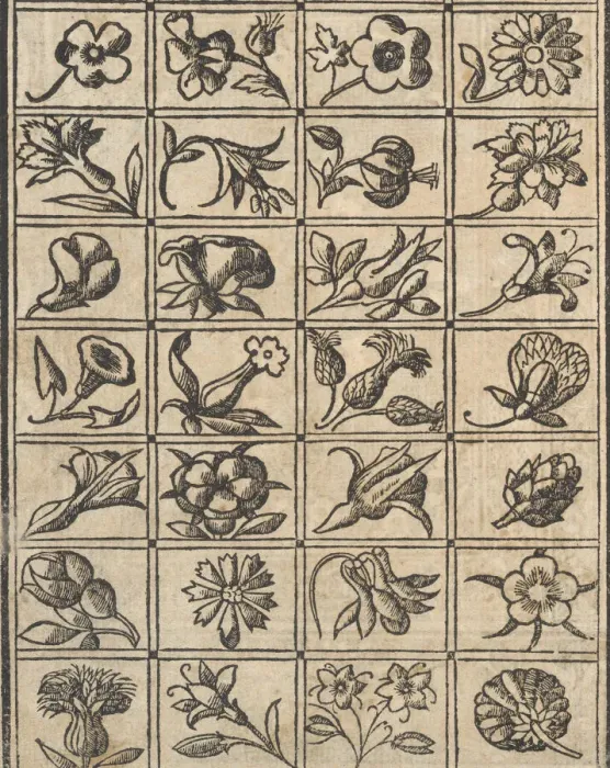 Framed Print : Essempio di recammi, page 10 (verso), 1530. Creator: Giovanni Antonio Tagliente Framed Print : Essempio di recammi, page 10 (verso), 1530. Creator: Giovanni Antonio Tagliente