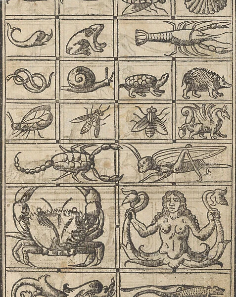 Essempio di recammi, page 11 (recto), 1530. Creator: Giovanni Antonio Tagliente