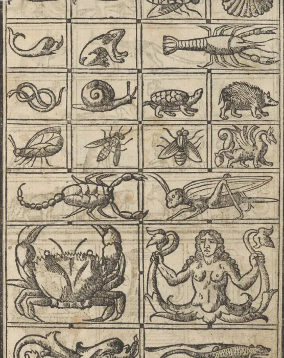Framed Print : Essempio di recammi, page 11 (recto), 1530. Creator: Giovanni Antonio Tagliente Framed Print : Essempio di recammi, page 11 (recto), 1530. Creator: Giovanni Antonio Tagliente