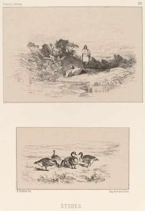 Framed Print : Etudes. Creator: Karl Bodmer Framed Print : Etudes. Creator: Karl Bodmer