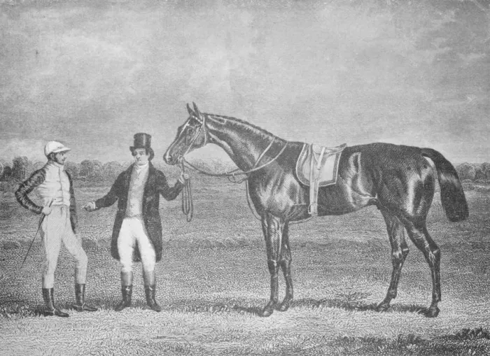 Framed Print : Euclid, second in the St. Leger, 1839, after a dead-heat with Charles XII, c1839, (1911) Framed Print : Euclid, second in the St. Leger, 1839, after a dead-heat with Charles XII, c1839, (1911)