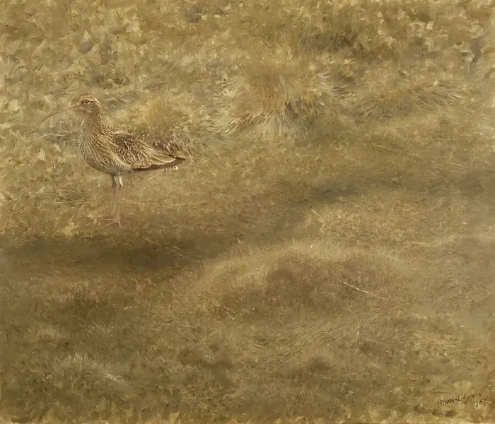 Framed Print : Eurasian Curlew, 1907. Creator: Bruno Liljefors Framed Print : Eurasian Curlew, 1907. Creator: Bruno Liljefors