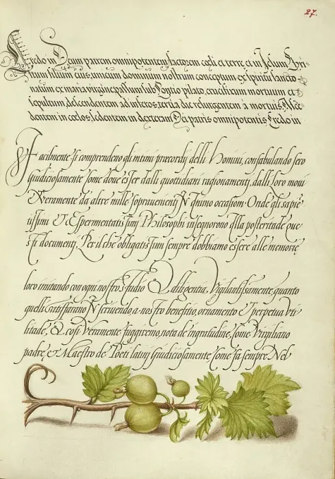 Framed Print : European Currant; Mira calligraphiae monumenta, 1561-1562; illumination added 1591-1596. Creator: Joris Hoefnagel Framed Print : European Currant; Mira calligraphiae monumenta, 1561-1562; illumination added 1591-1596. Creator: Joris Hoefnagel