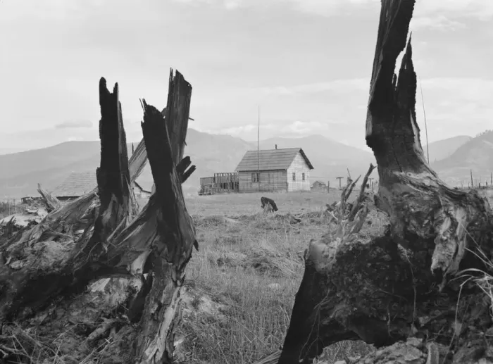 Framed Print : Evanson new home, looking across land... Priest River Valley, Bonner County, Idaho, 1939. Creator: Dorothea Lange Framed Print : Evanson new home, looking across land... Priest River Valley, Bonner County, Idaho, 1939. Creator: Dorothea Lange