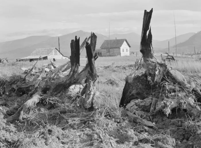 Framed Print : Evanson new home, looking across land... Priest River Valley, Bonner County, Idaho, 1939. Creator: Dorothea Lange Framed Print : Evanson new home, looking across land... Priest River Valley, Bonner County, Idaho, 1939. Creator: Dorothea Lange