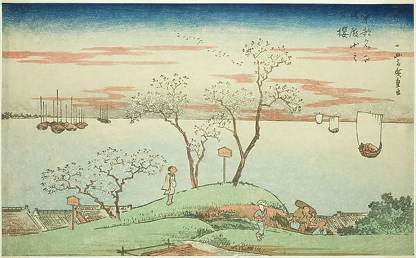 Evening Cherry Blossoms at Goten Hill (Gotenyama no yuzakura), from the series... c. 1831. Creator: Ando Hiroshige
