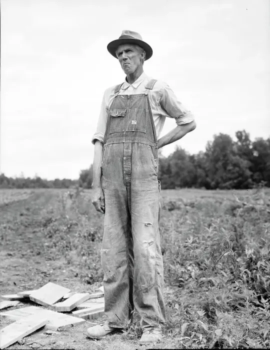 Framed Print : One of the evicted sharecroppers from Arkansas now settled at Hill House, Mississippi, 1936. Creator: Dorothea Lange Framed Print : One of the evicted sharecroppers from Arkansas now settled at Hill House, Mississippi, 1936. Creator: Dorothea Lange