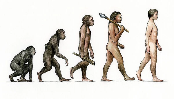 Evolution of ManArtist: Karen Humpage