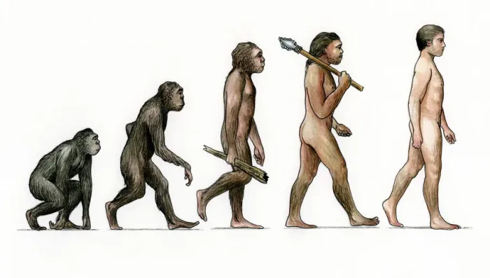Framed Print : Evolution of ManArtist: Karen Humpage Framed Print : Evolution of ManArtist: Karen Humpage