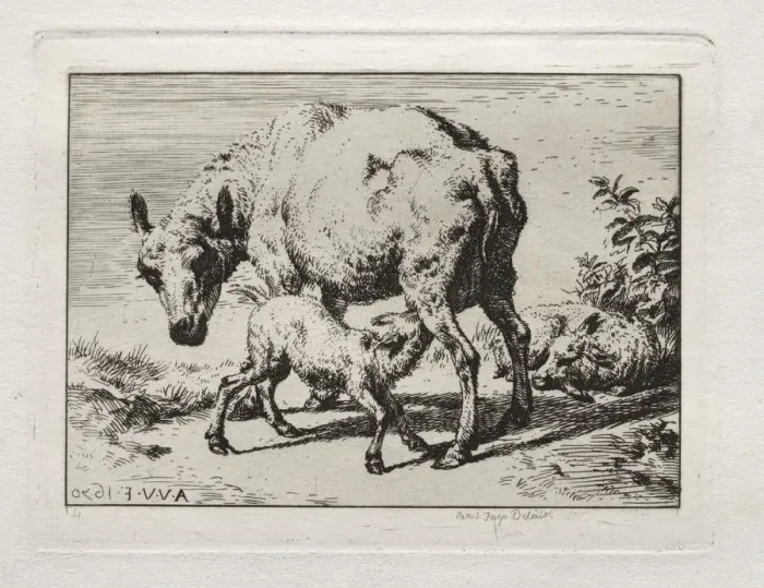 Framed Print : The Ewe with Two Lambs, 1850. Creator: Charles Meryon (French, 1821-1868) Framed Print : The Ewe with Two Lambs, 1850. Creator: Charles Meryon (French, 1821-1868)