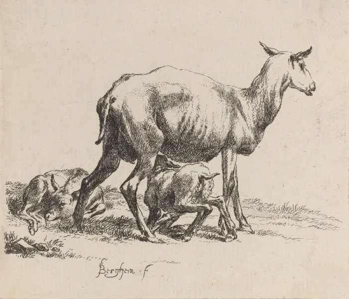 Framed Print : Ewe Nursing Her Lamb. Creator: Nicolaes Berchem Framed Print : Ewe Nursing Her Lamb. Creator: Nicolaes Berchem