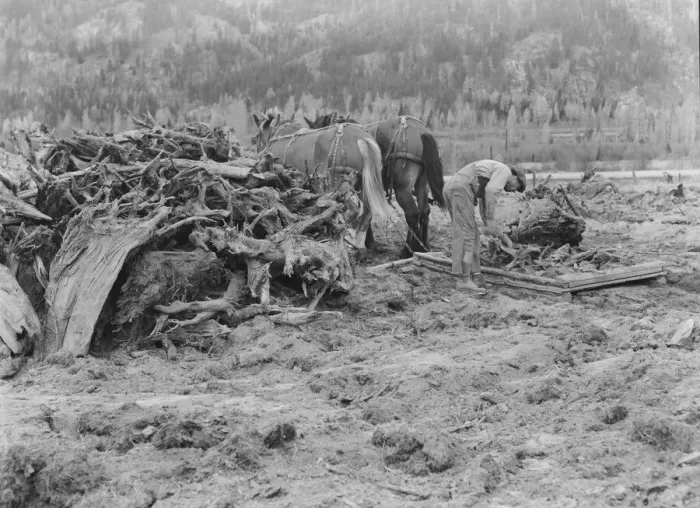 Framed Print : Ex-lumber mill worker clears eight-acre field after bulldozer... Boundary County, Idaho, 1939. Creator: Dorothea Lange Framed Print : Ex-lumber mill worker clears eight-acre field after bulldozer... Boundary County, Idaho, 1939. Creator: Dorothea Lange