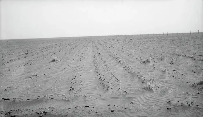 Framed Print : An example of how listing soil into furrows helps impede erosion, Mills, New Mexico, 1935. Creator: Dorothea Lange Framed Print : An example of how listing soil into furrows helps impede erosion, Mills, New Mexico, 1935. Creator: Dorothea Lange