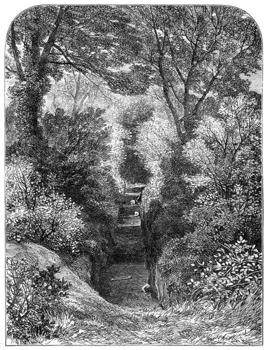 Framed Print : Excavations of an ancient cemetery at Helmingham, 1864. Creator: Unknown Framed Print : Excavations of an ancient cemetery at Helmingham, 1864. Creator: Unknown