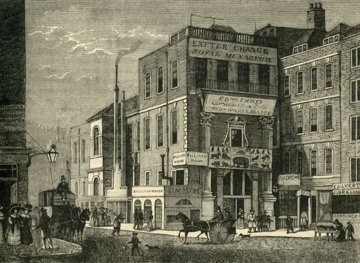 Framed Print : Exeter Change in 1826, (1881). Creator: Unknown Framed Print : Exeter Change in 1826, (1881). Creator: Unknown