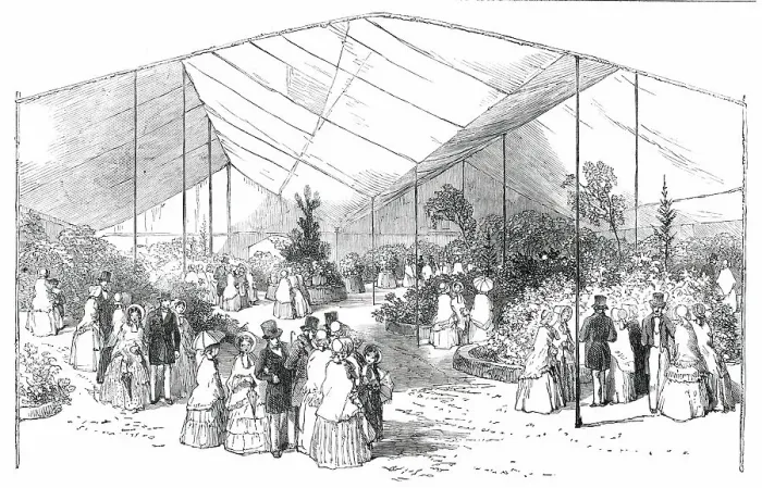 Framed Print : Exhibition of American Plants at the Royal Botanical Society's Gardens, Regent's-Park, 1850. Creator: Unknown Framed Print : Exhibition of American Plants at the Royal Botanical Society's Gardens, Regent's-Park, 1850. Creator: Unknown