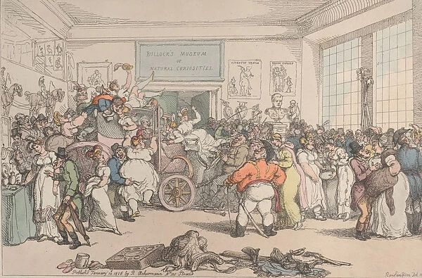 Exhibition at Bullocks Museum of Bonapartes Carriage, Taken at Waterloo, Jan