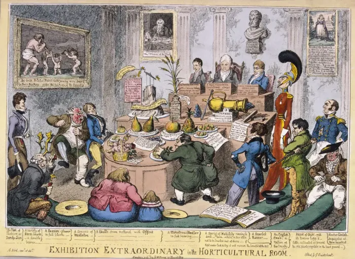 Framed Print : Exhibition at the Royal Horticultural Society, London, 1826. Artist: George Cruikshank Framed Print : Exhibition at the Royal Horticultural Society, London, 1826. Artist: George Cruikshank