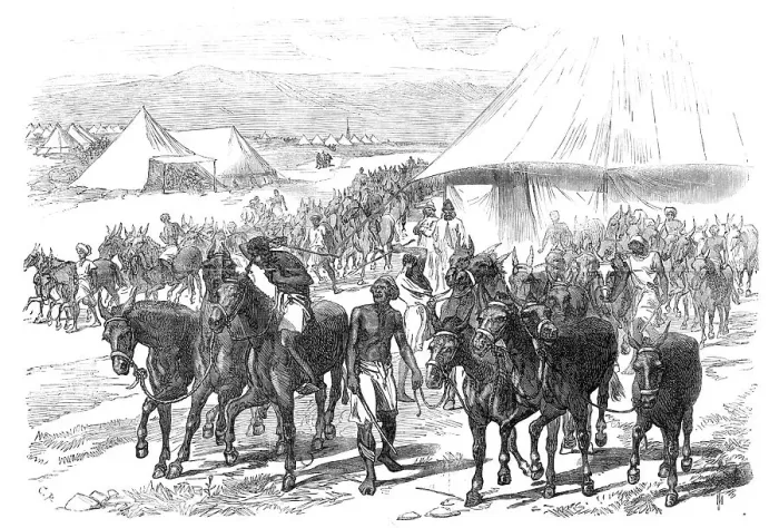 Framed Print : The Expedition to Abyssinia: mules and mule drivers, 1868. Creator: C. R Framed Print : The Expedition to Abyssinia: mules and mule drivers, 1868. Creator: C. R