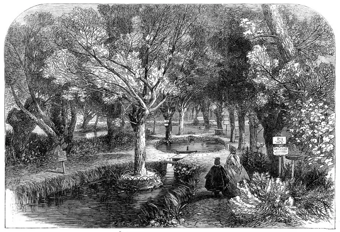 Framed Print : Experimenting ponds at the Huningue Fish Nurseries, France, 1864. Creator: Mason Jackson