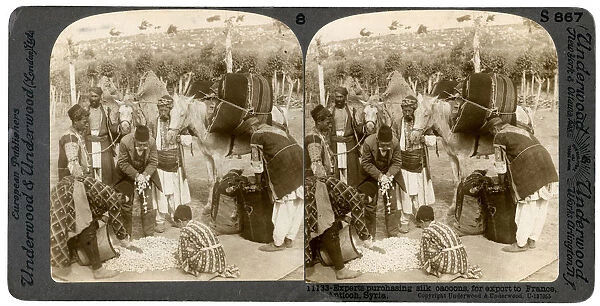 Experts purchasing silk cocoons, for export to France, Antioch, Syria, 1900s. Artist: Underwood & Underwood