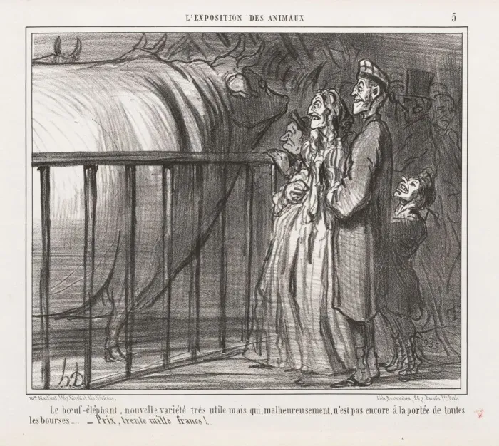 Framed Print : Exposition of Animals : Pl. 5, The Cow-Elephant, New Variety... Creator: Honore Daumier Framed Print : Exposition of Animals : Pl. 5, The Cow-Elephant, New Variety... Creator: Honore Daumier