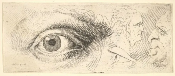 Framed Print : Two eyes and two heads, 1644-52. Creator: Wenceslaus Hollar Framed Print : Two eyes and two heads, 1644-52. Creator: Wenceslaus Hollar