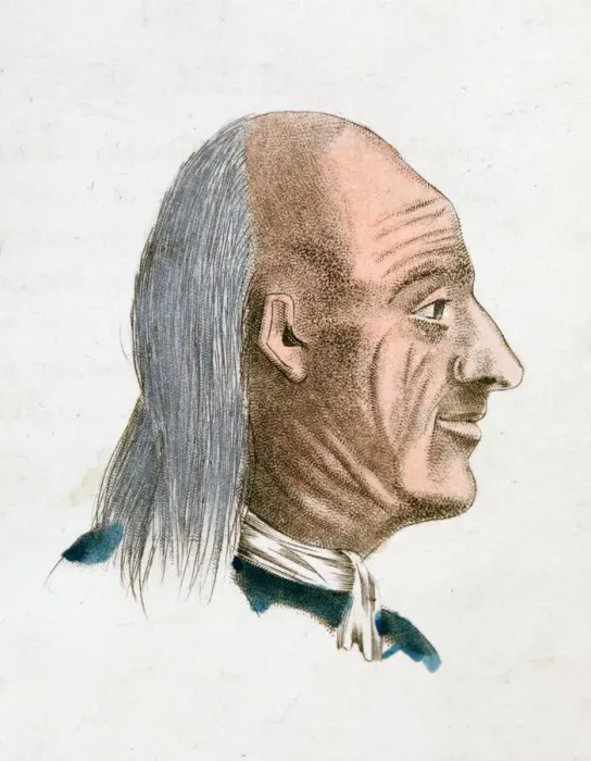 Framed Print : The facial characteristics of a jovial and kind person, 1808. Artist: Johann Kaspar Lavater Framed Print : The facial characteristics of a jovial and kind person, 1808. Artist: Johann Kaspar Lavater