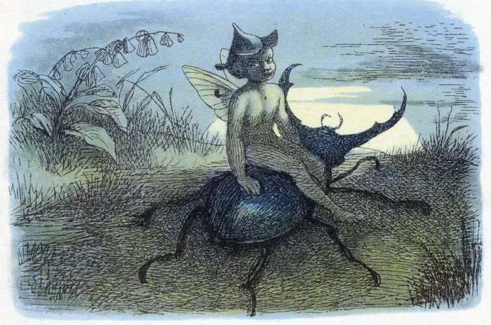 Framed Print : The Fairy Queens Messenger, c1870. Artist: Richard Doyle Framed Print : The Fairy Queens Messenger, c1870. Artist: Richard Doyle