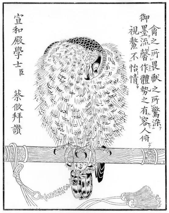Framed Print : Falcon, 1886 Framed Print : Falcon, 1886