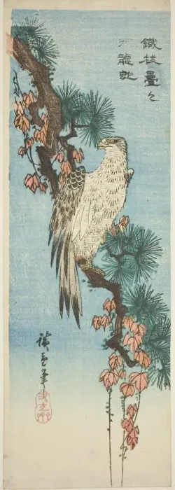 Framed Print : Falcon on ivy-covered pine branch, 1830s. Creator: Ando Hiroshige Framed Print : Falcon on ivy-covered pine branch, 1830s. Creator: Ando Hiroshige