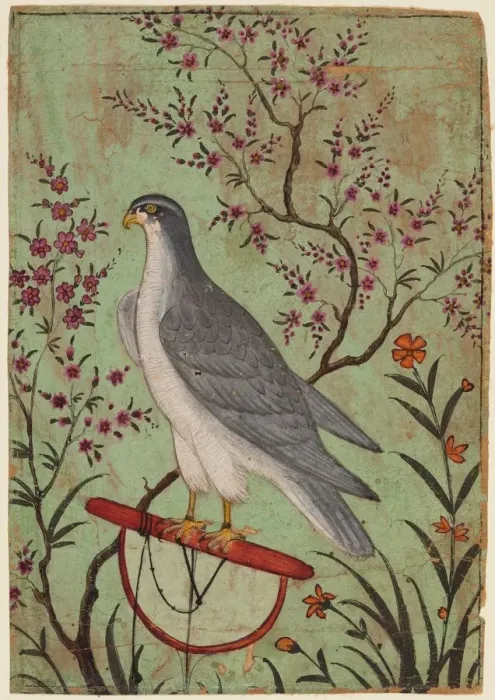 Framed Print : Falcon on a Perch, c. 1610. Creator: Unknown Framed Print : Falcon on a Perch, c. 1610. Creator: Unknown
